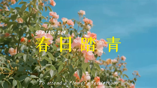 踏青vlog怎么制作，1分钟剪辑制作春日好风光